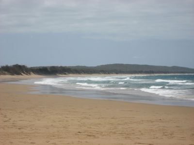 j0295.JPG