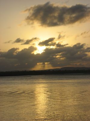 j0311.JPG