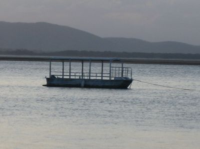 j0313.JPG