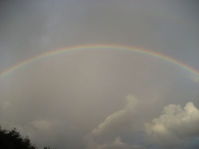 j0317.JPG