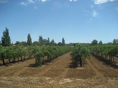 j0840.JPG