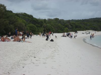 j0237.JPG