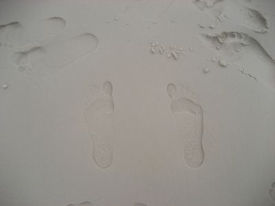 j0249.JPG