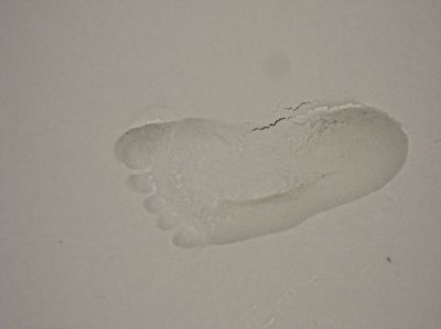 l0139.JPG