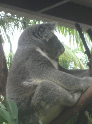 j0448.JPG