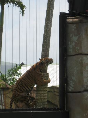l0361.JPG