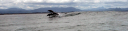Filename=Picture_017.png
Filesize=778KiB
Dimensions=1370x339
Date added=Apr 16, 2011 Picture_017.png