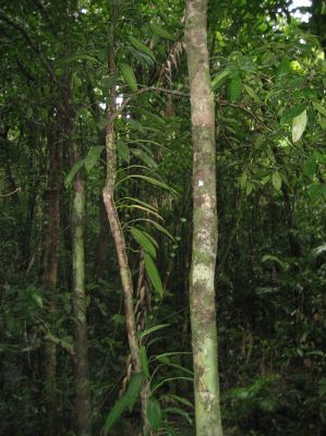 j0089.JPG