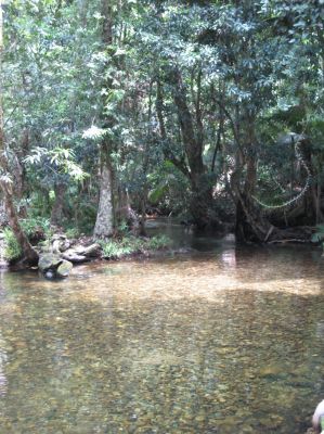 j0114.JPG
