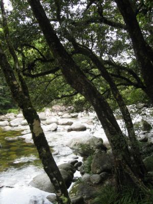 l0037.JPG