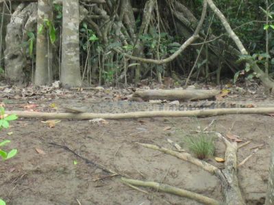 l0049.JPG