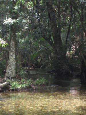 l0058.JPG