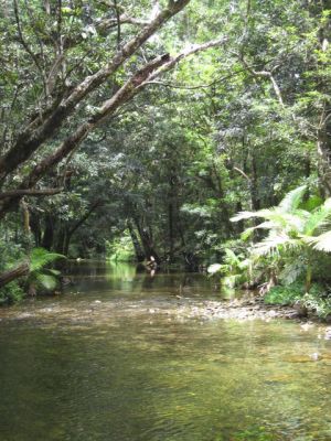 l0059.JPG