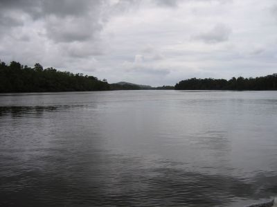 m0059.JPG
