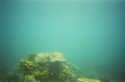 01980002.JPG