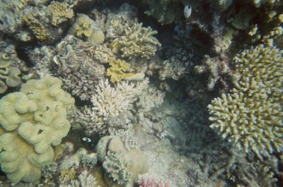 01980012.JPG