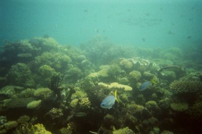 01980020.JPG
