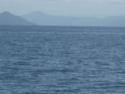 l0077.JPG