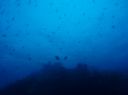 t0392.JPG