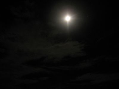 j1031.JPG