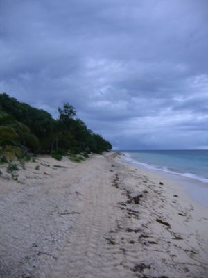 m0546.JPG