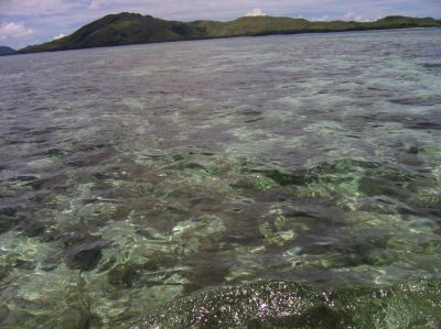 m0540.JPG