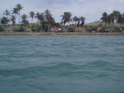t0205.JPG