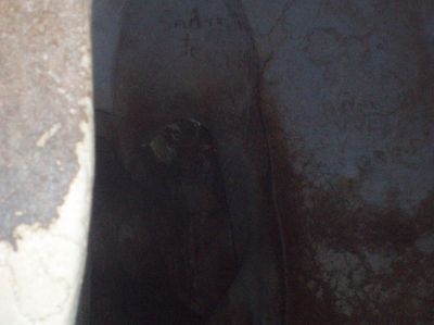 t0229.JPG