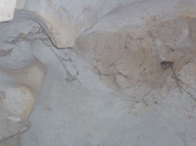 t0231.JPG