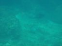 t0312.JPG