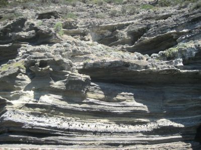 j0748.JPG