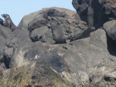 j0765.JPG