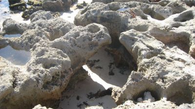 j0794.JPG