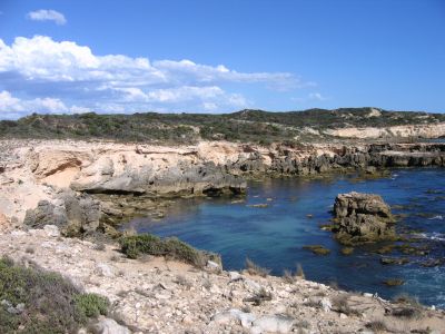m0480.JPG