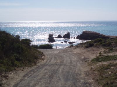 t0173.JPG