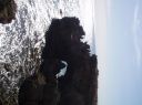 Filename=t0189.JPG
Filesize=373KiB
Dimensions=2058x1543
Date added=Jun 22, 2012 t0189.JPG