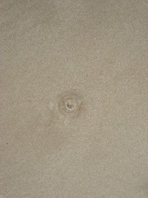l0576.JPG