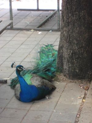 l0085.JPG