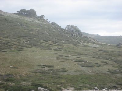 j0598.JPG