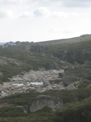 j0599.JPG