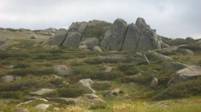j0602.JPG