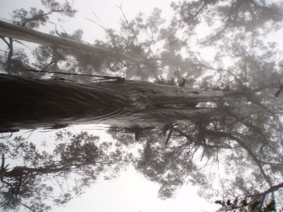 t0084.JPG