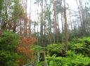 l0464.JPG
