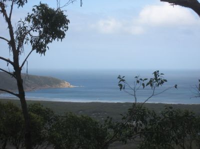 l0481.JPG