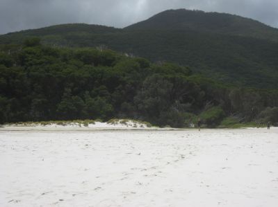 l0488.JPG