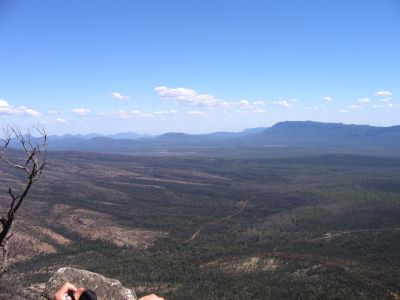 m0490.JPG
