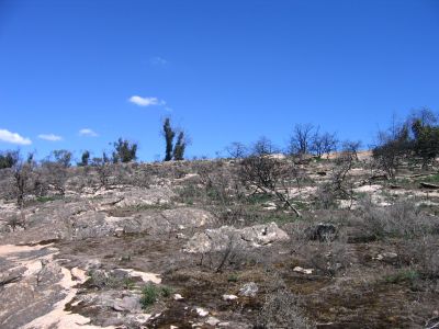 m0500.JPG