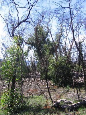 m0503.JPG