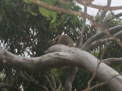 j0426.JPG