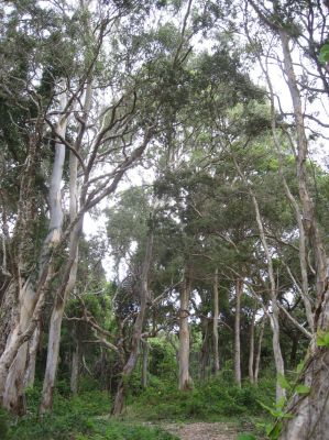 l0283.JPG